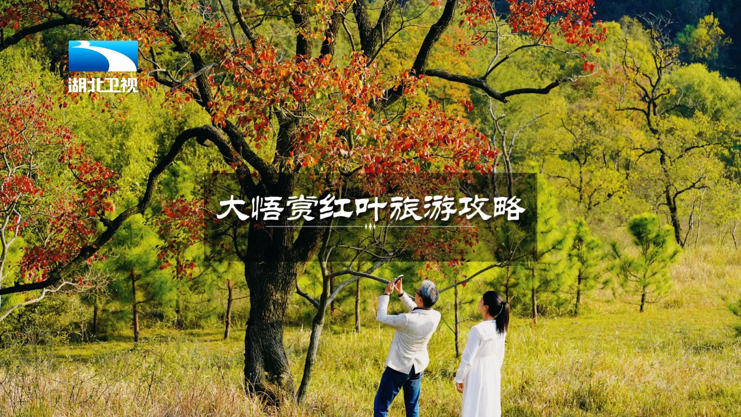 大悟赏红叶旅游攻略