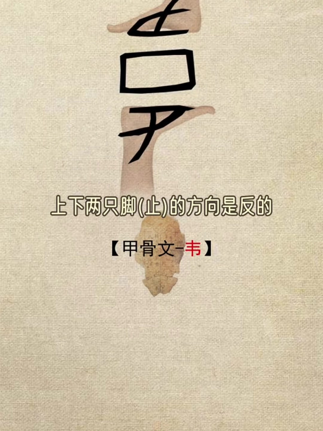 韦 字的演变 向左向右