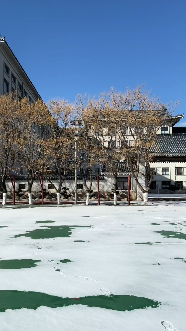 小耗子天花板俄挺 无敌操作