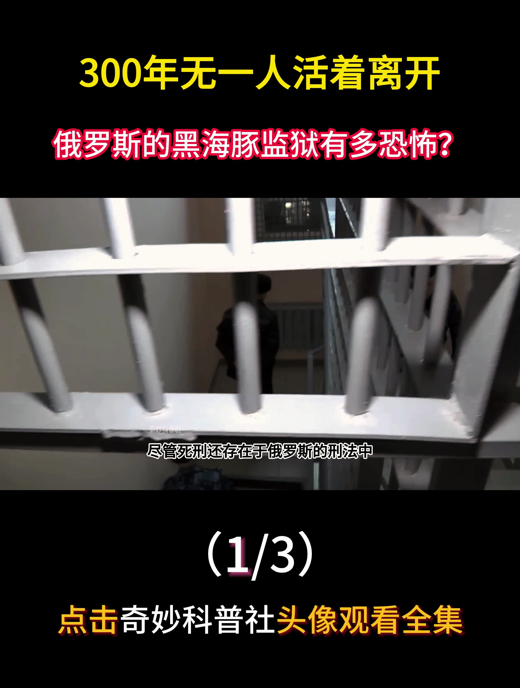 无期比死刑还要恐怖?俄罗斯的黑海豚监狱,300年无一人活着离开