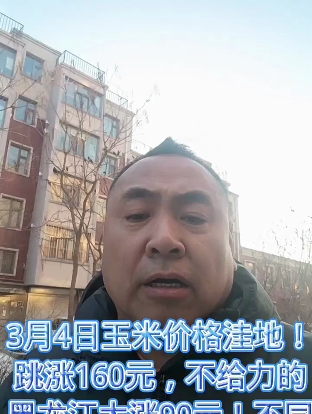 3月4日玉米地价格洼地粮价大涨160元