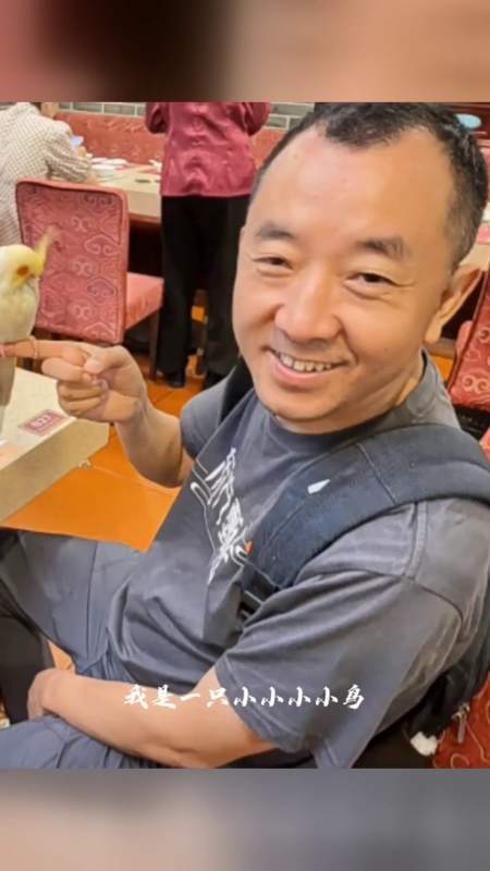 陈行甲:午餐时飞来一只精灵陈行甲