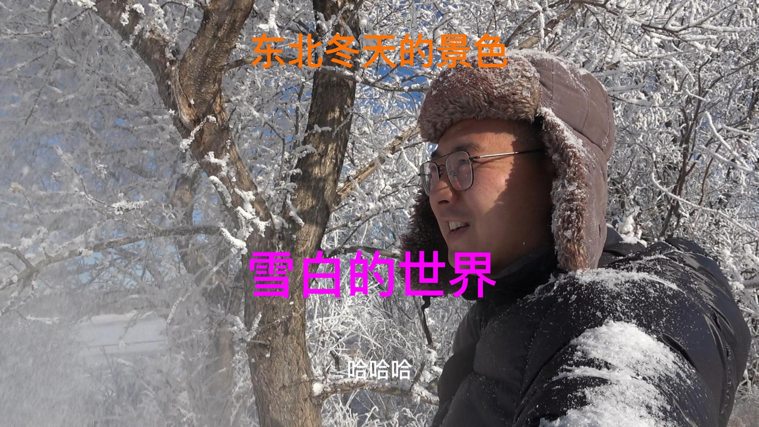 分享一下东北的冬天独有的美景,冬捕的季节开始了下网捕鱼了