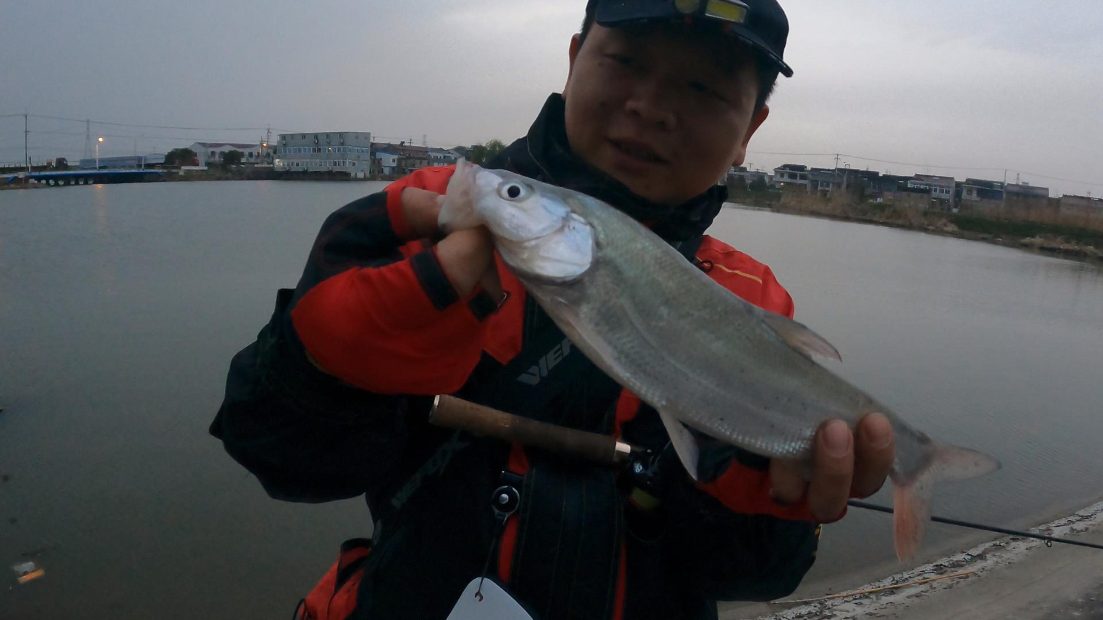 傍晚出来玩路亚还是有惊喜的,漂亮的红鳍鲌(红尾)鱼我相遇