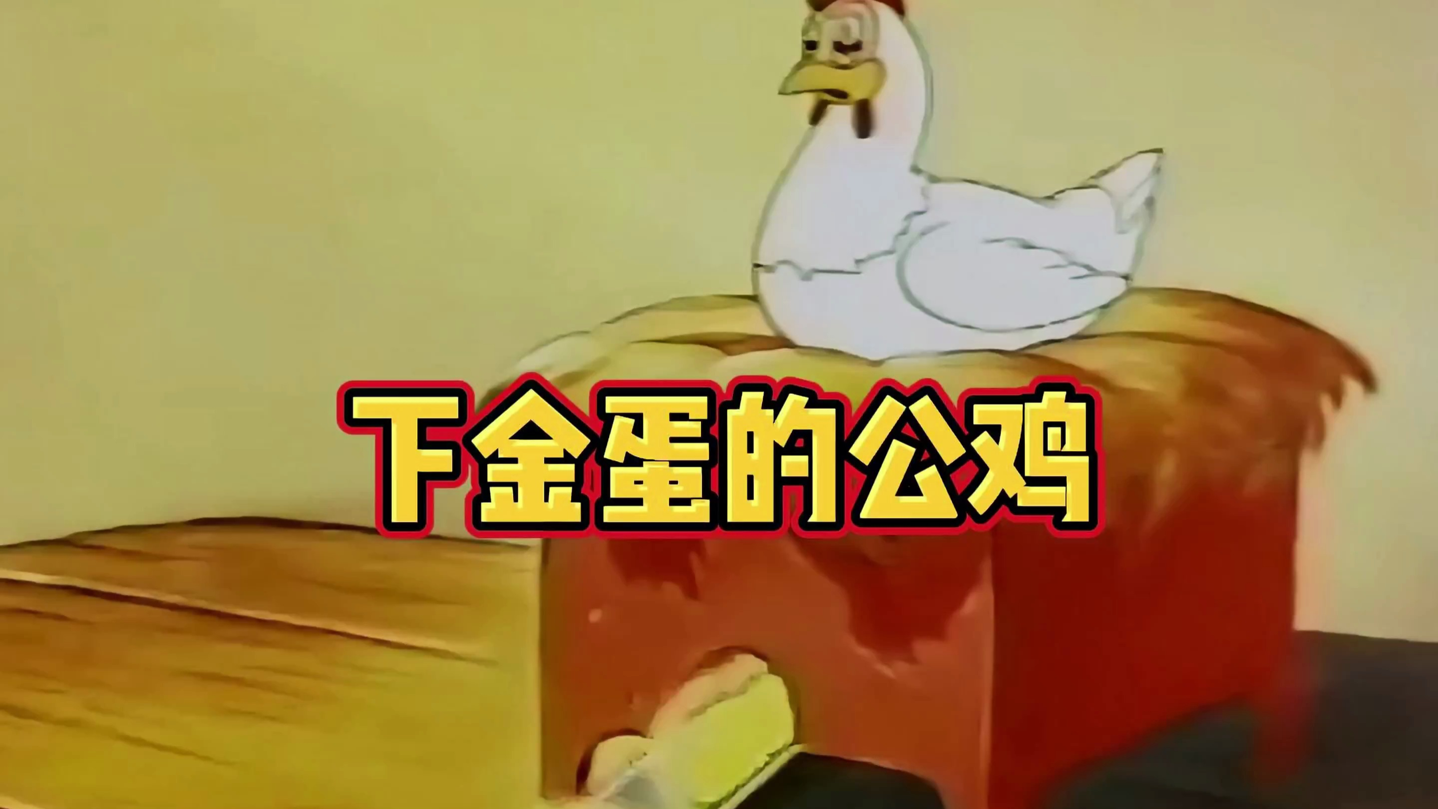 公鸡竟然下金蛋!真是下蛋公鸡!公鸡中的战斗鸡!