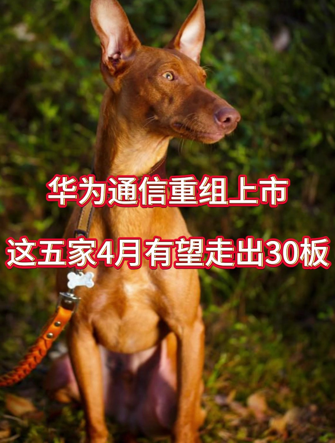 华为通信重组上市,这五家4月有望走出30板8