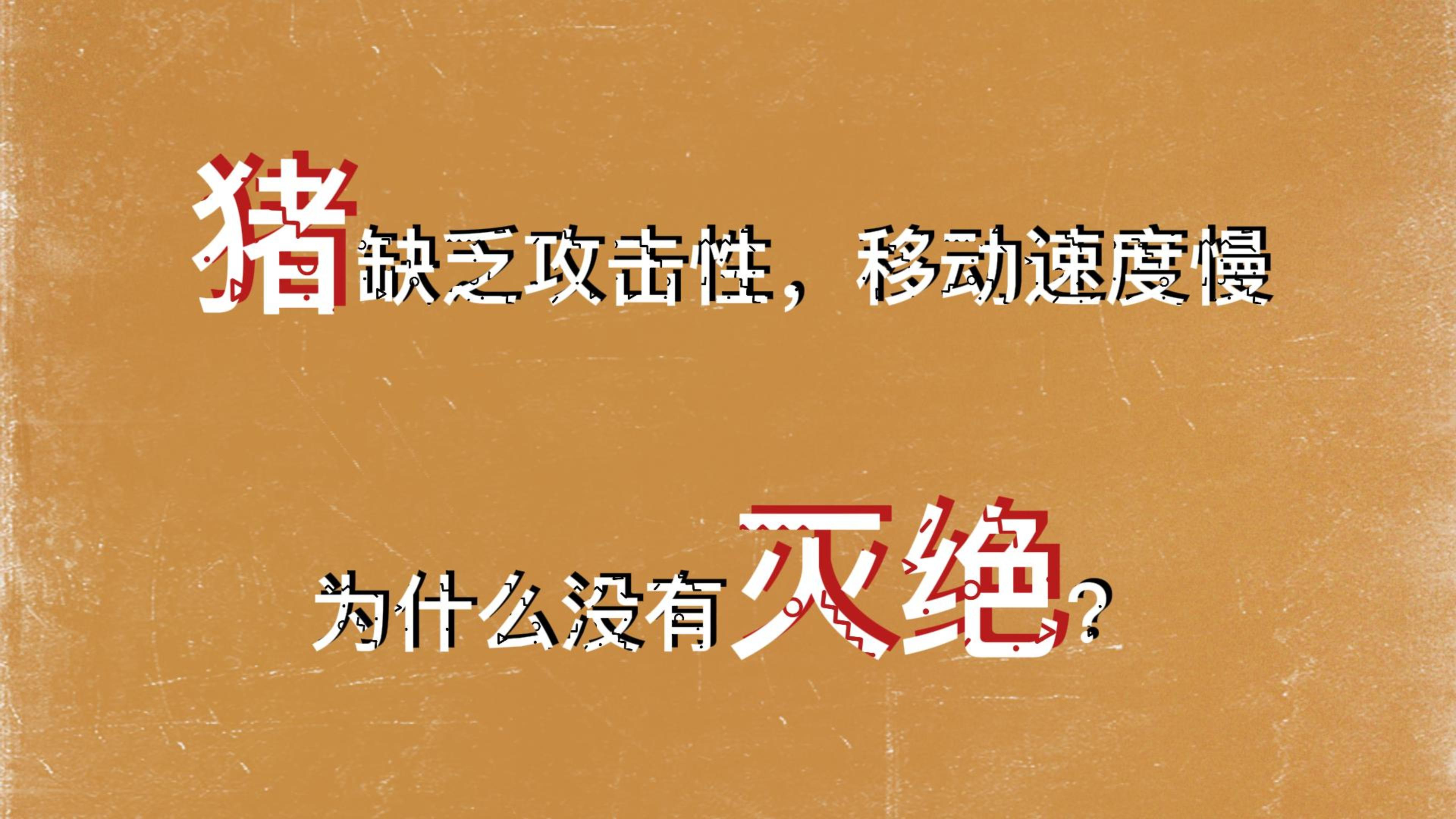 猪缺乏攻击性,移动速度慢,为什么没有灭绝?