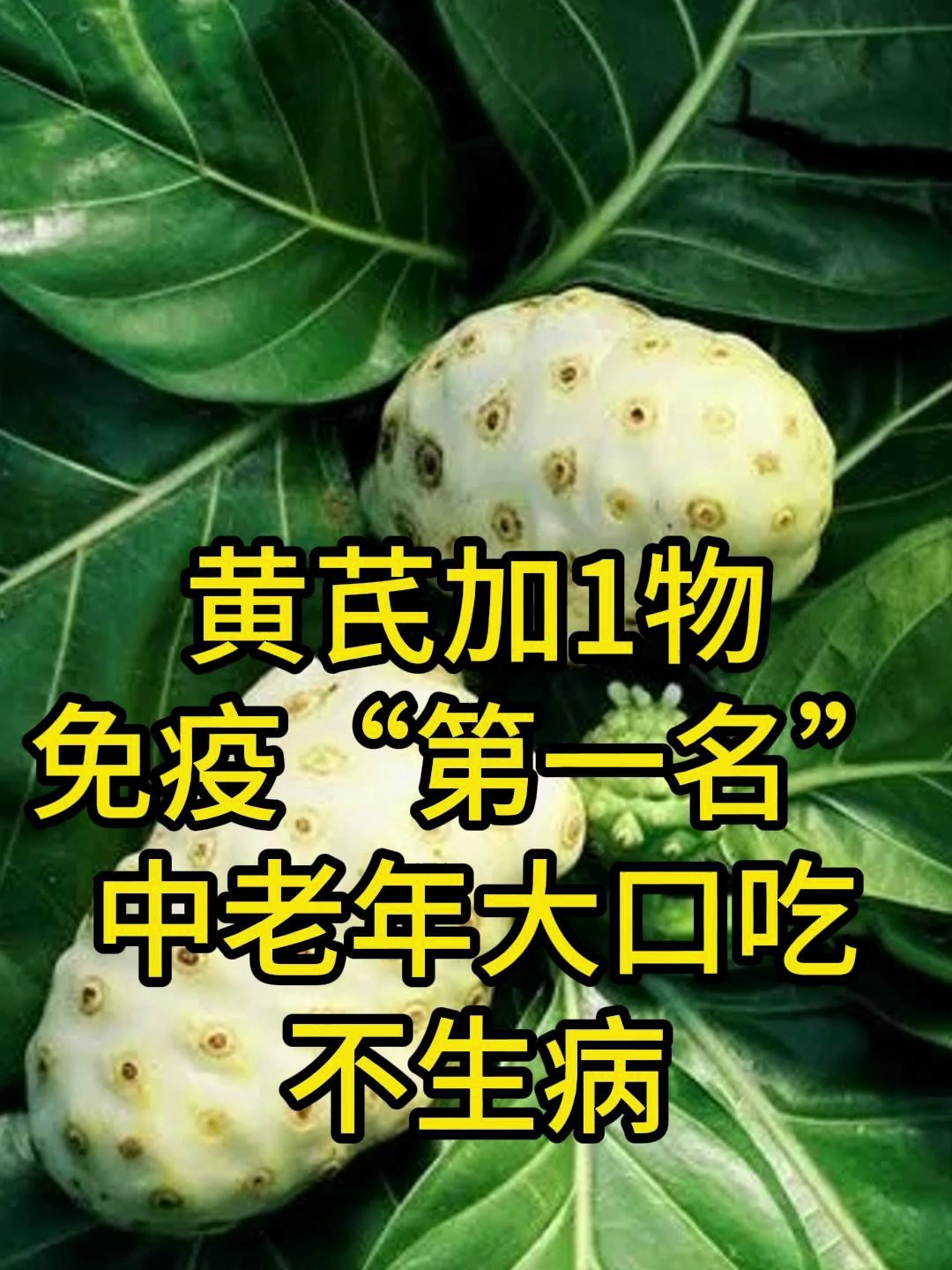 黄芪和它是两口子,免疫"天花板",中老年大口吃,百病不侵