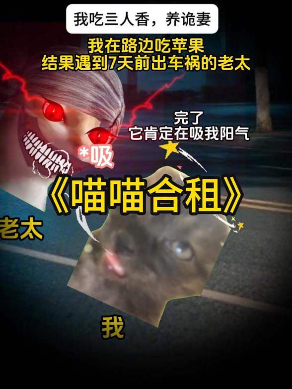 喵喵合租封面图