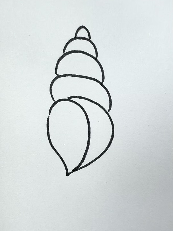 画一只海螺试试吧