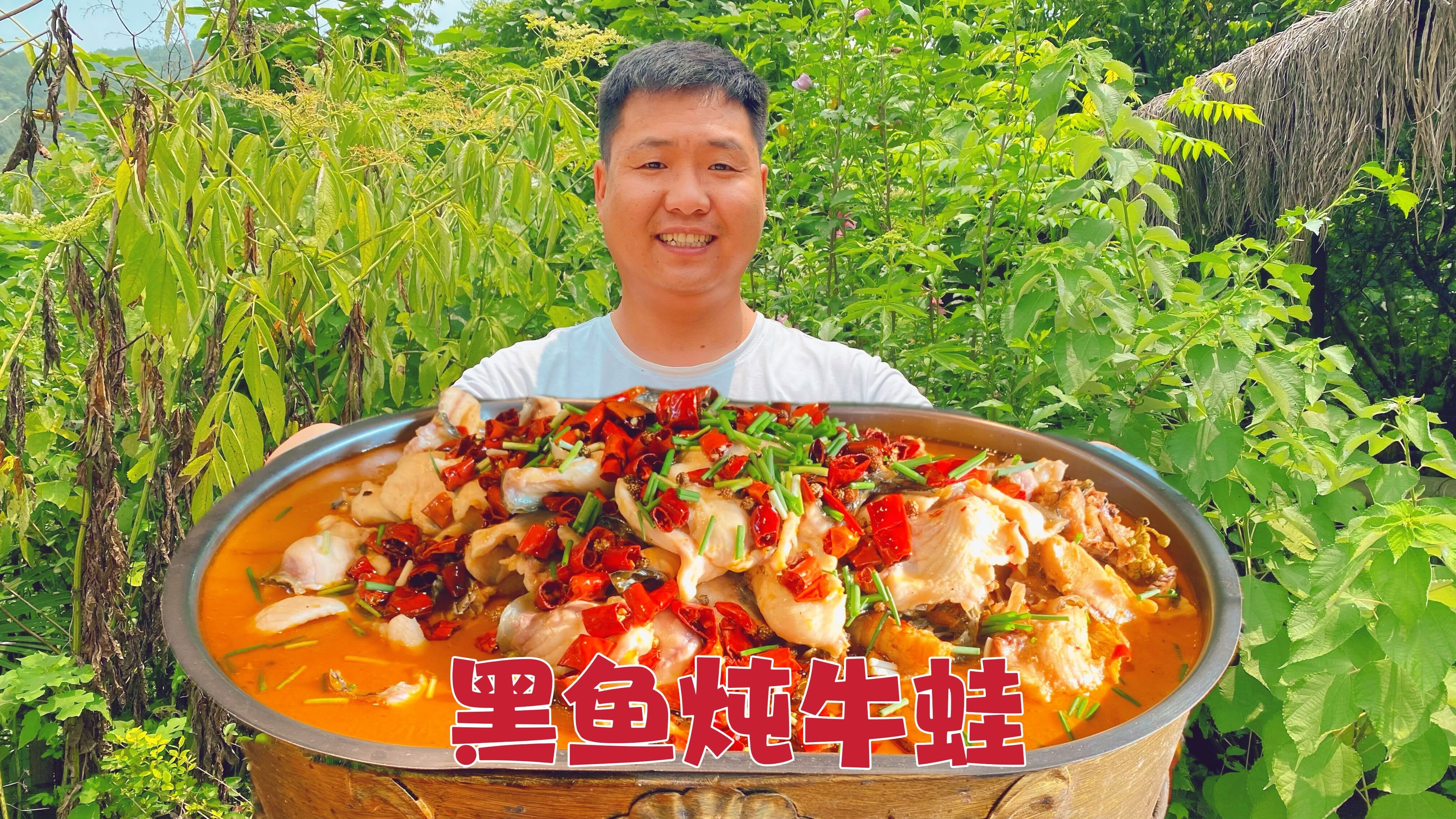 一条黑鱼四只牛蛙一锅炖,淋上辣椒满园飘香!