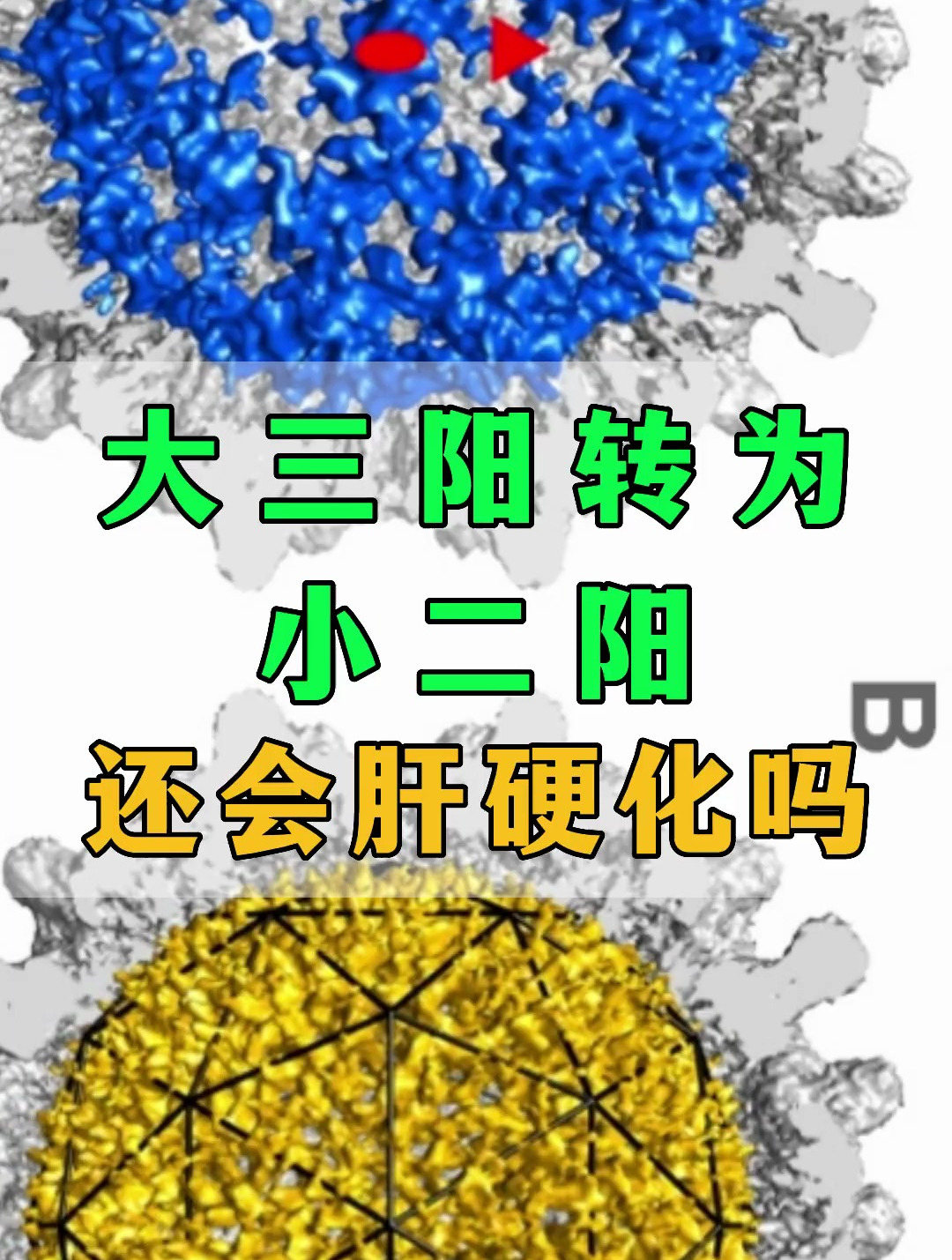 大三阳转为小二阳还会肝硬化吗-度小视