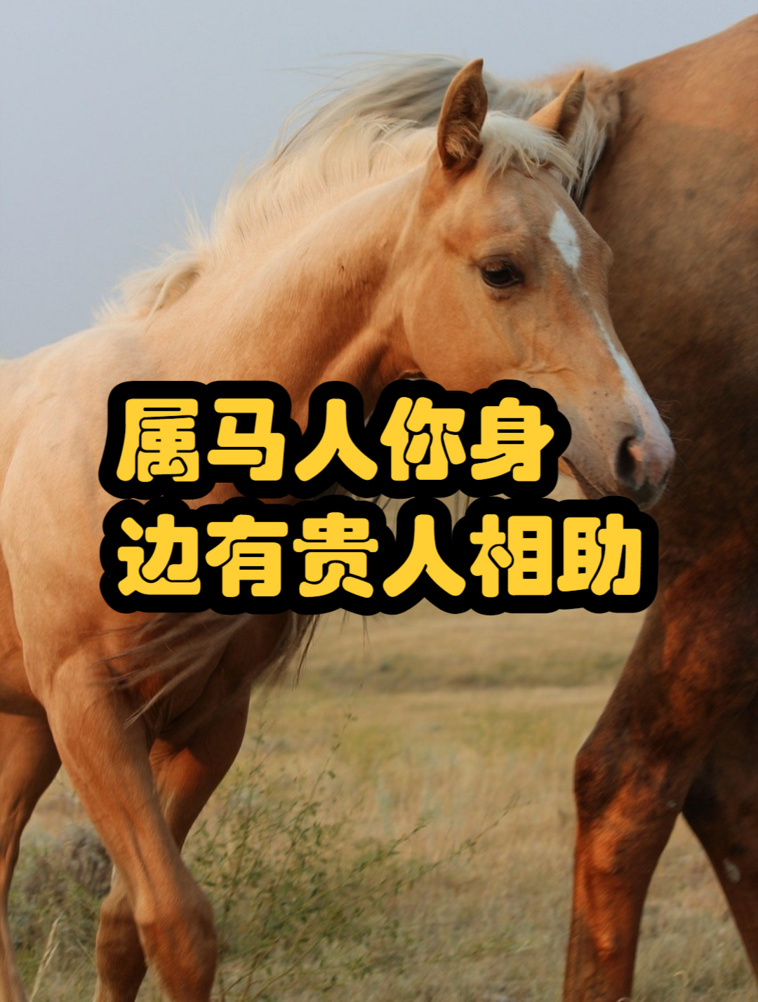 属马人你身边有贵人相助