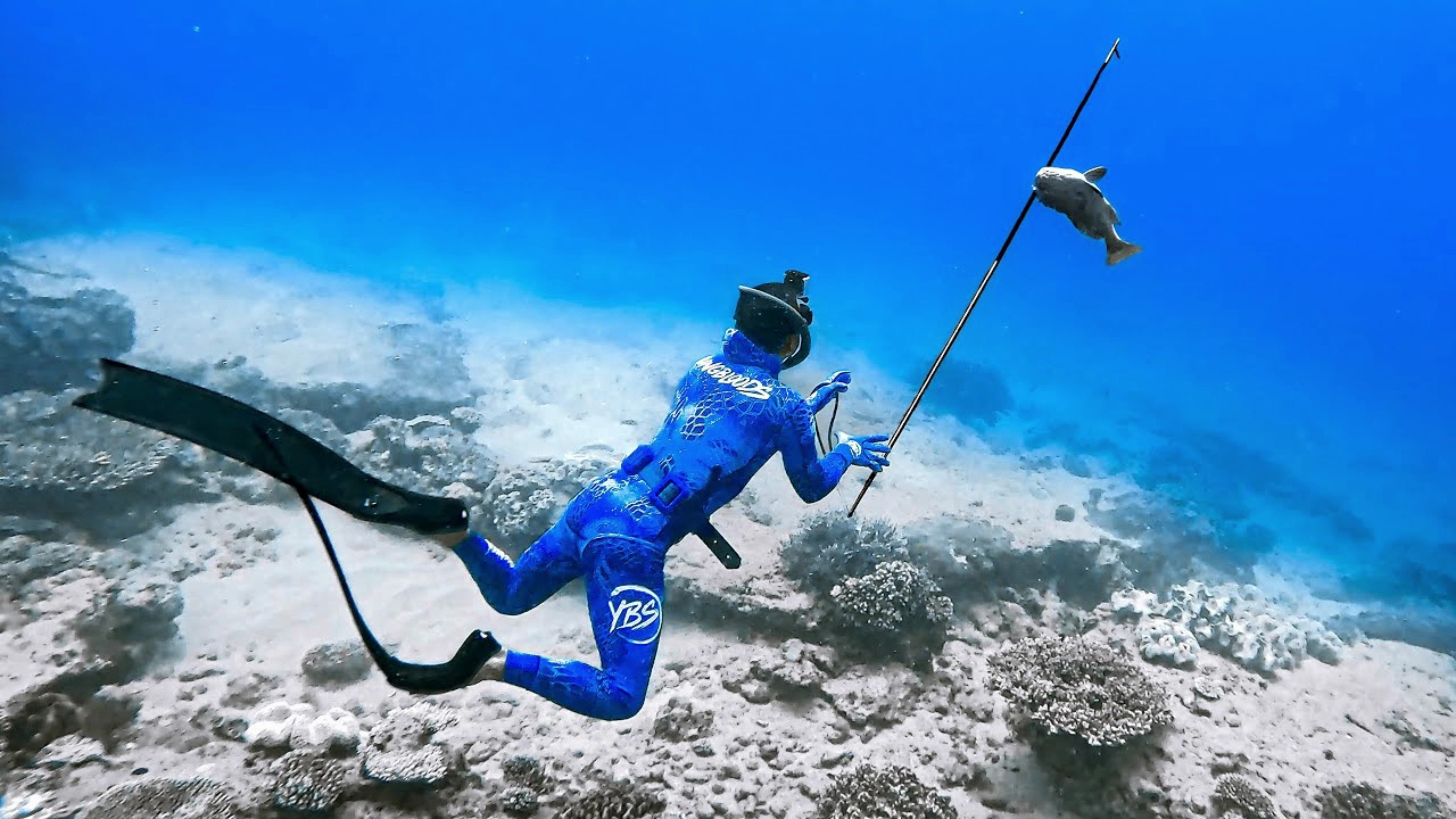 试吃世界上最难吃的鱼,臭名昭著堪比清道夫,连鱼皮都散发着臭味