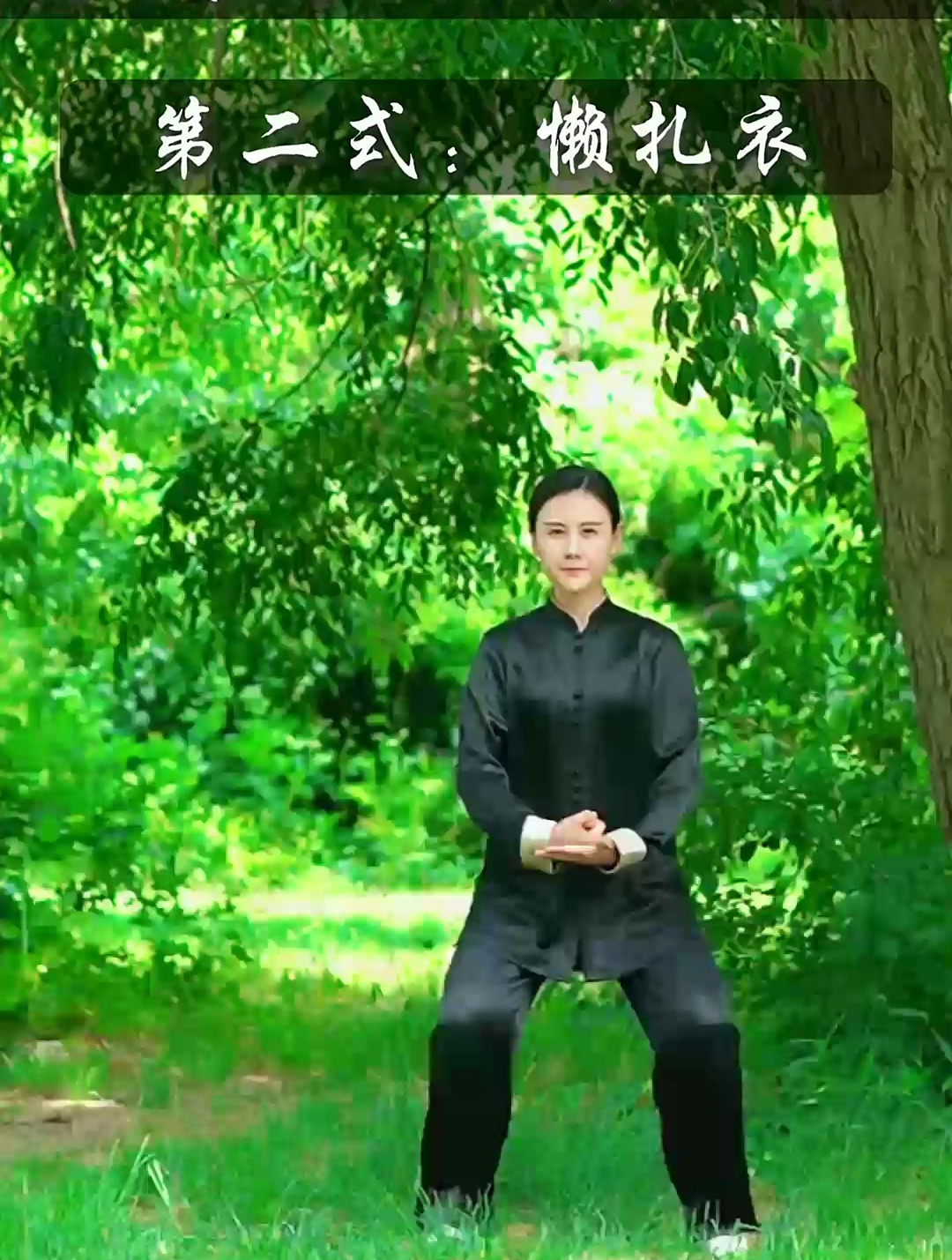 陈式太极拳《十三势》第二式懒扎衣-度小视