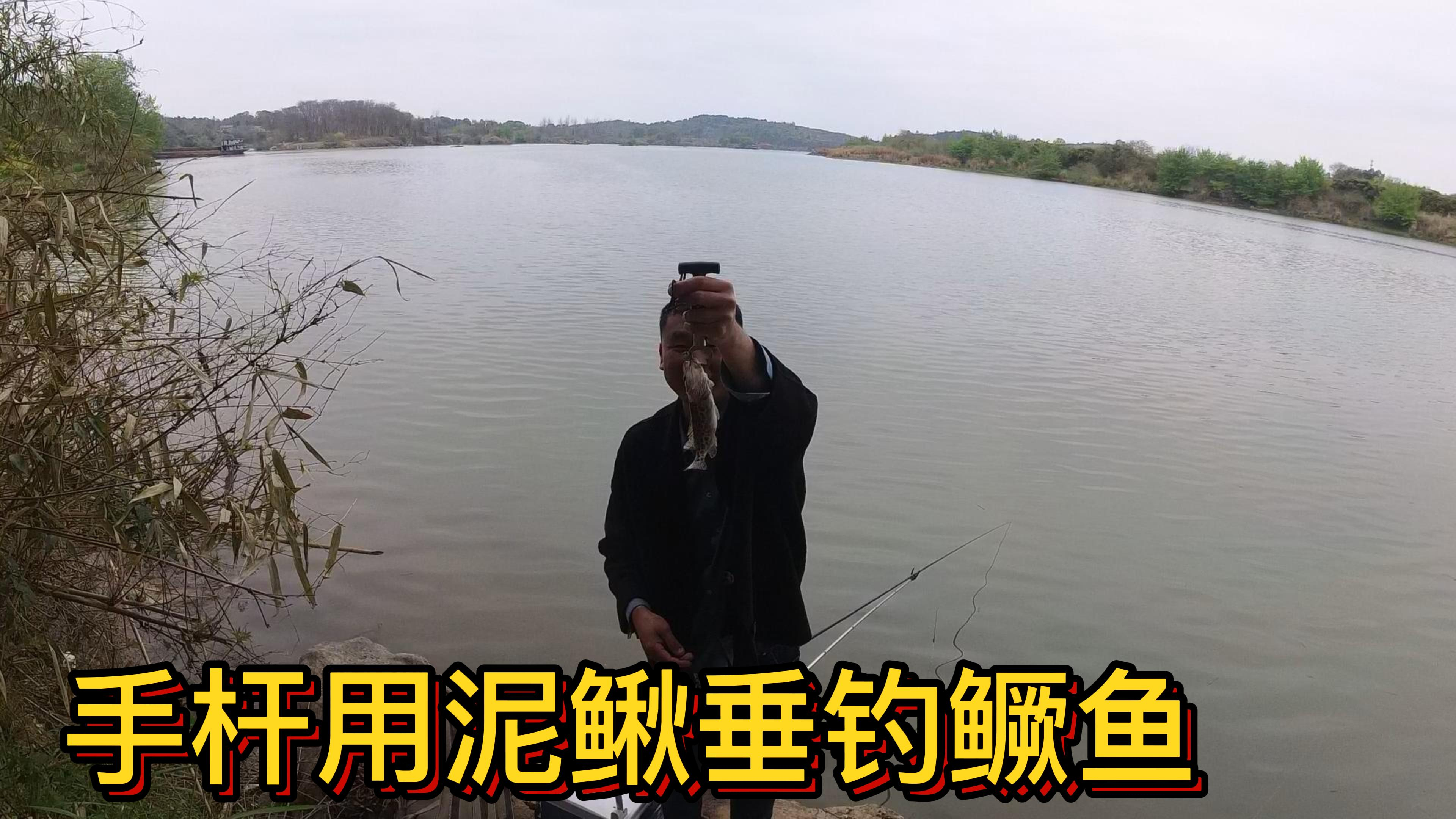 今天鱼口不佳,手杆挂泥鳅钓获鳜鱼