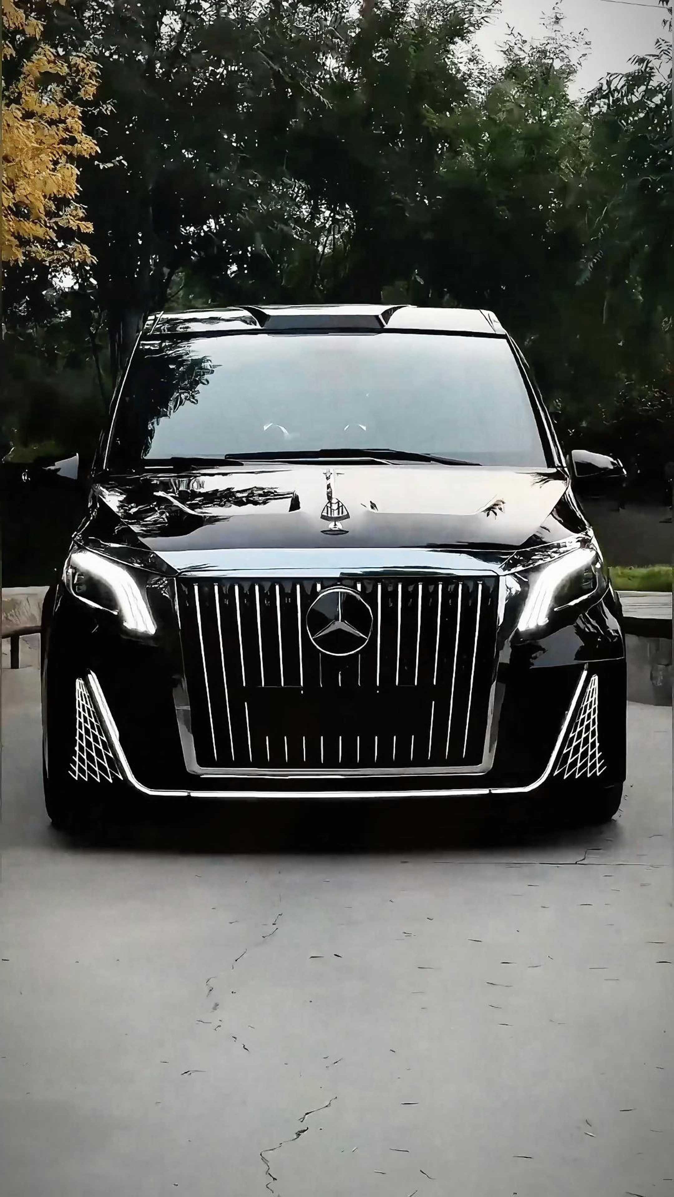 奔驰威霆豪华商务车