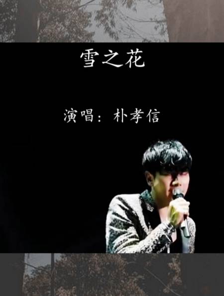 韩国经典歌曲,朴孝信的雪之花-度小视