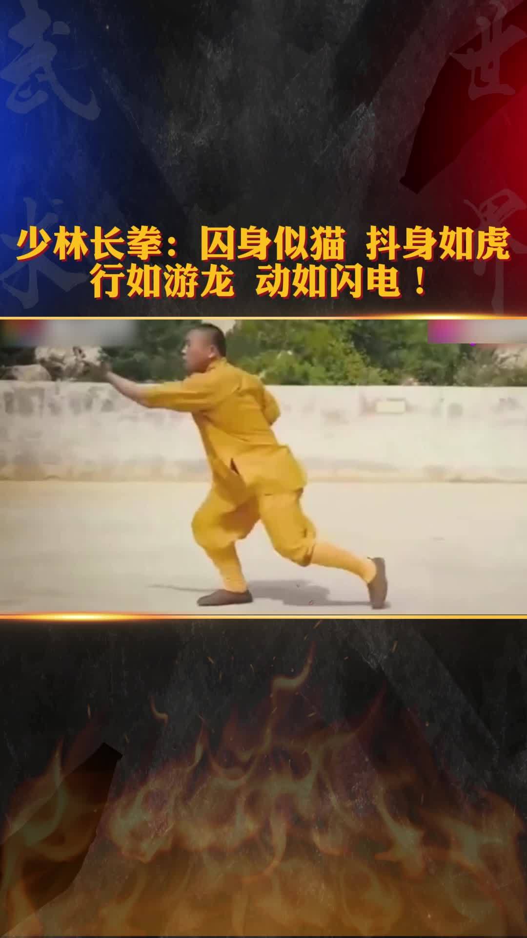 少林长拳 囚身似猫