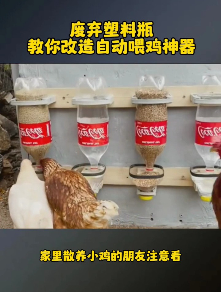 塑料瓶自制鸡食槽图片图片