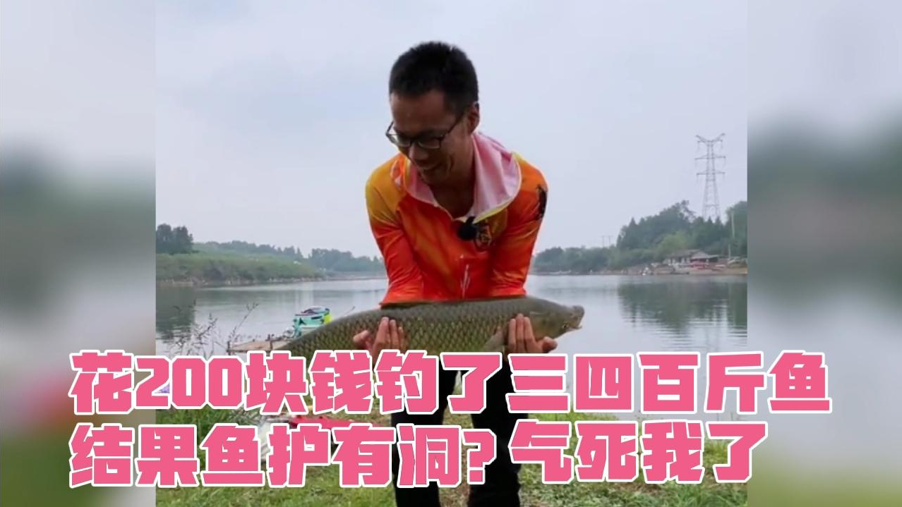 花200块钱钓了三四百斤鱼,结果鱼护有个洞,鱼跑了只剩一百斤了
