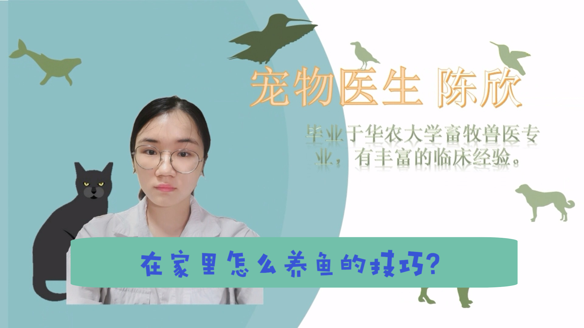 在家里怎么养鱼的技巧