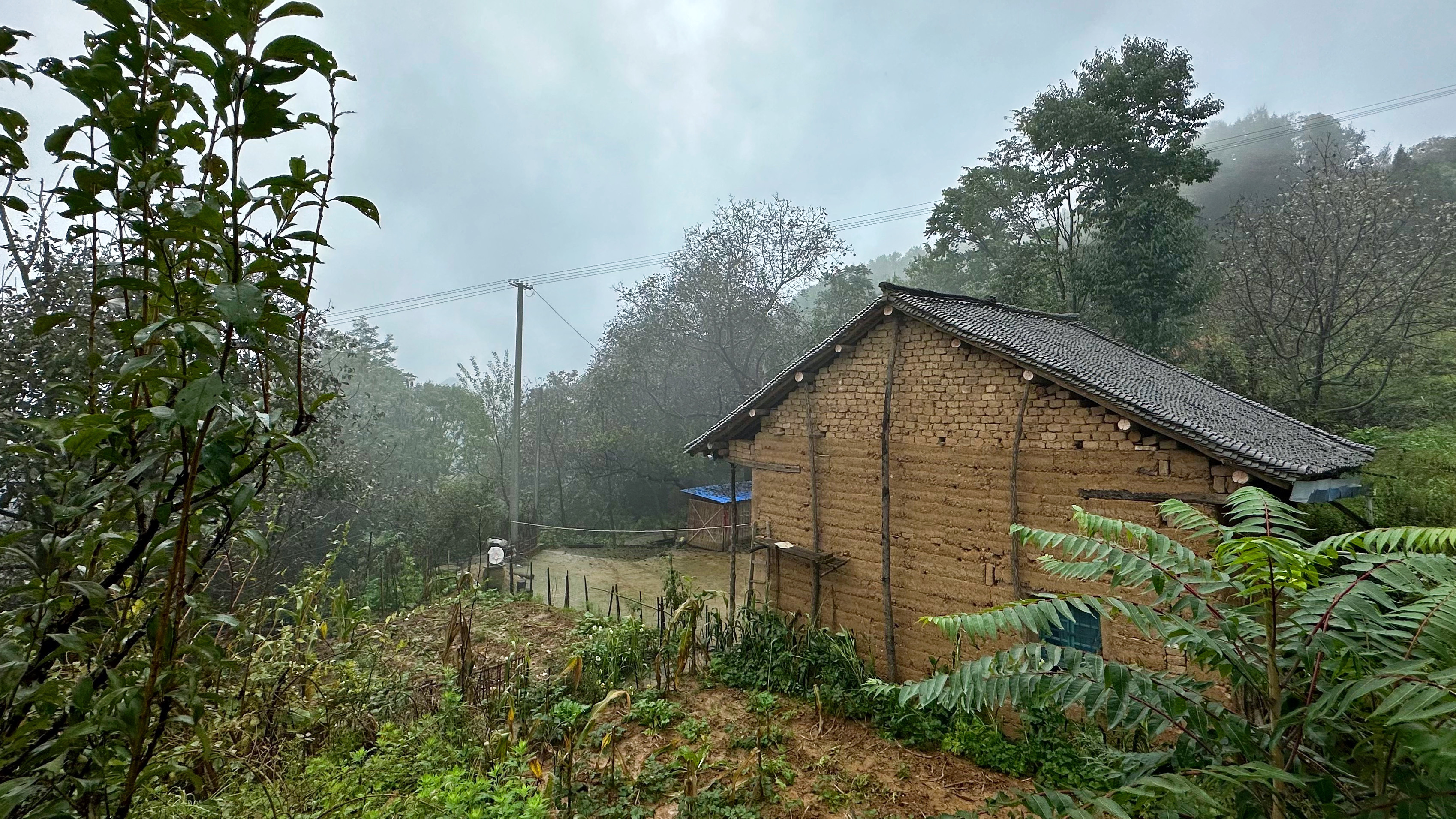 下雨在家烤火烧板栗核桃吃,有朋友推荐一种甜汤,和我妈试着来做