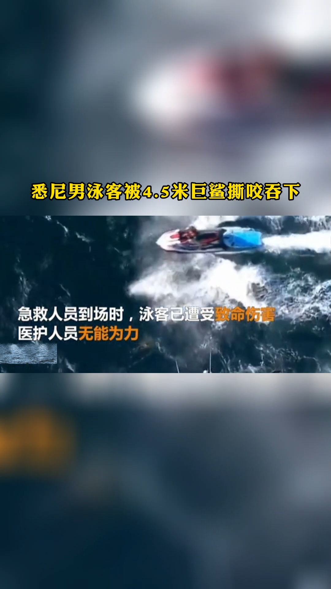 悉尼男泳客被45米巨鲨撕咬吞下悉尼海泳鲨鱼