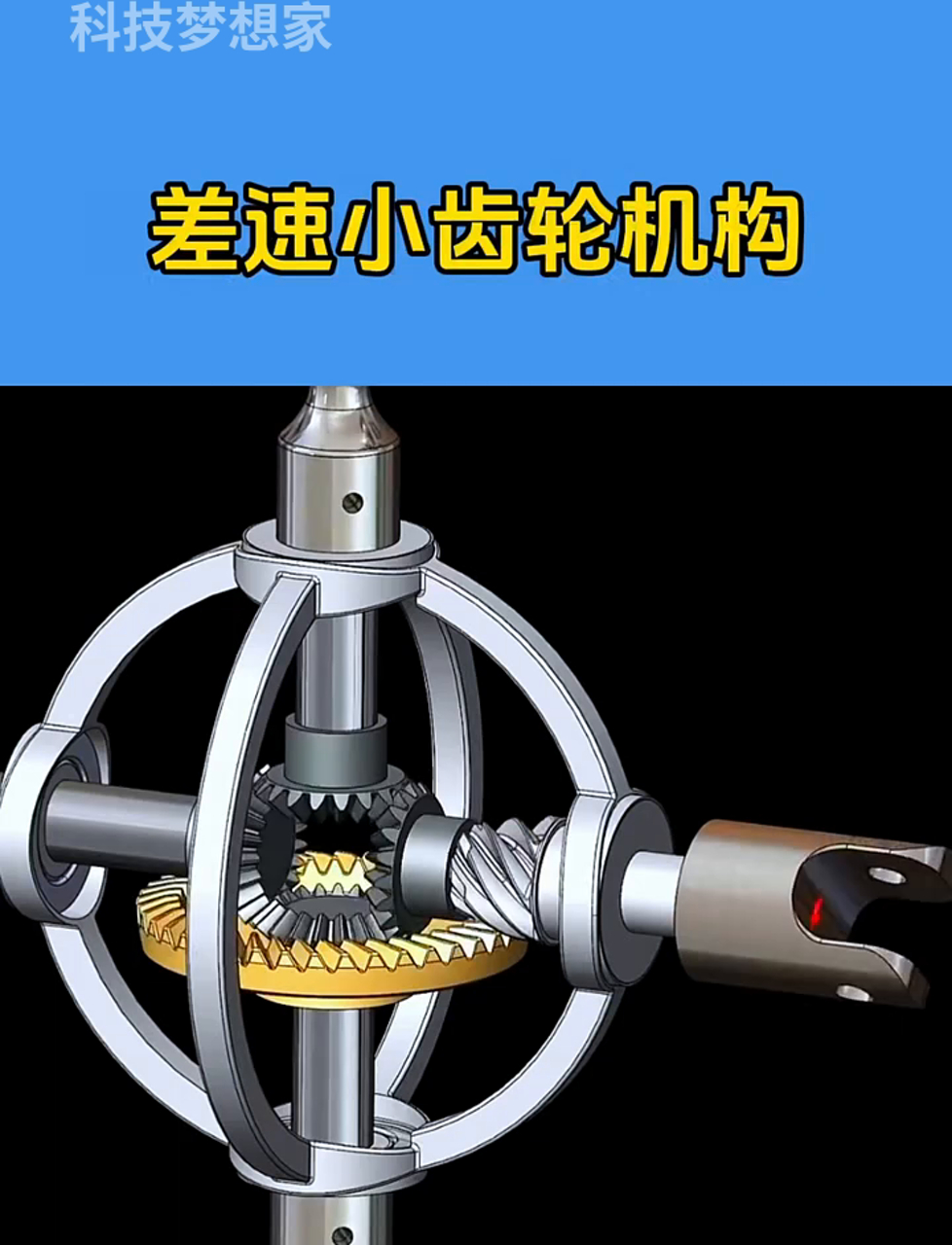 Side gear 812W35106-0055 Angle view showing teeth design