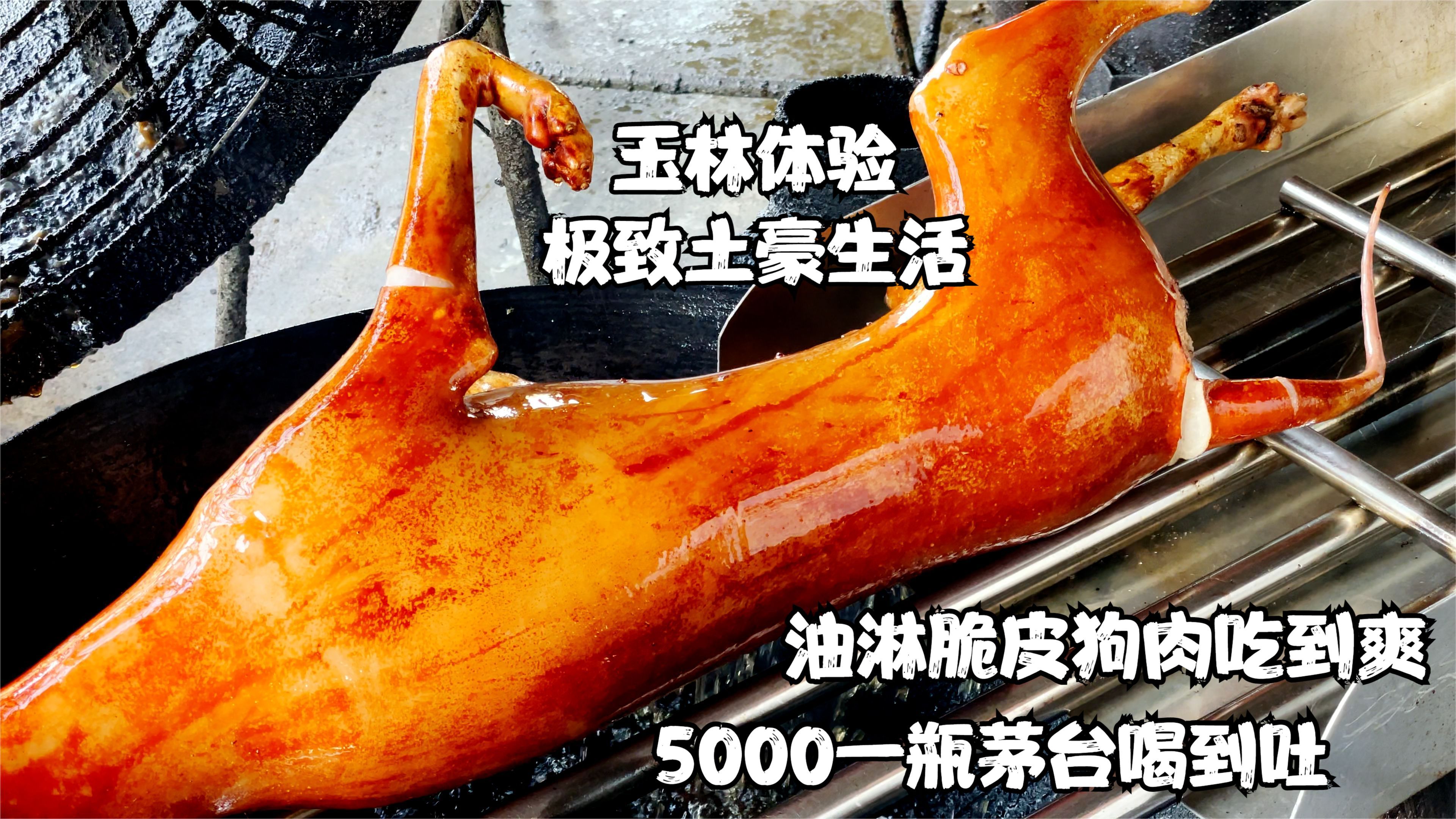 广西玉林体验土豪生活，油淋脆皮狗肉吃到爽，5000一瓶茅台喝到吐