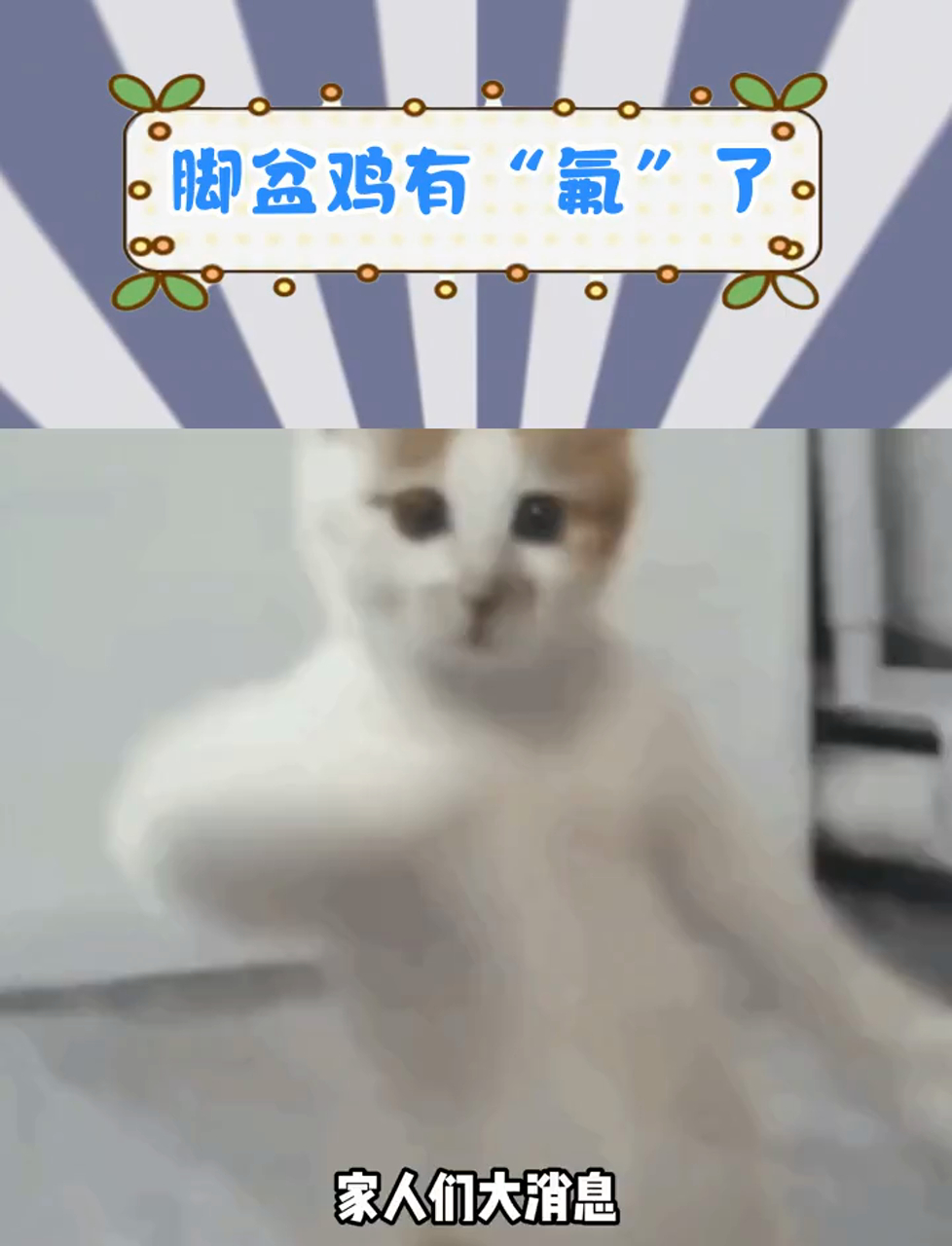 小本子被漂亮国给坑了,脚盆鸡有"氟"了