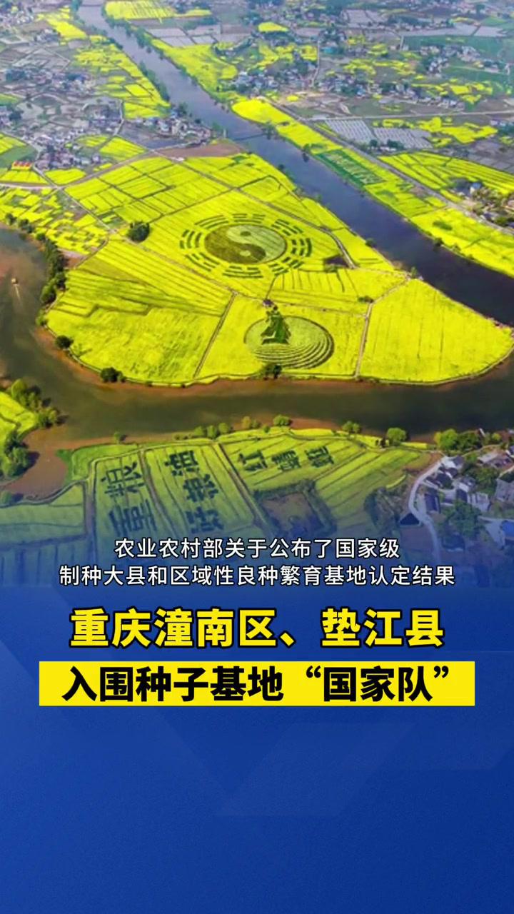 重庆潼南区被认定为国家级油菜制种大县,垫江县被认定为国家级水稻制