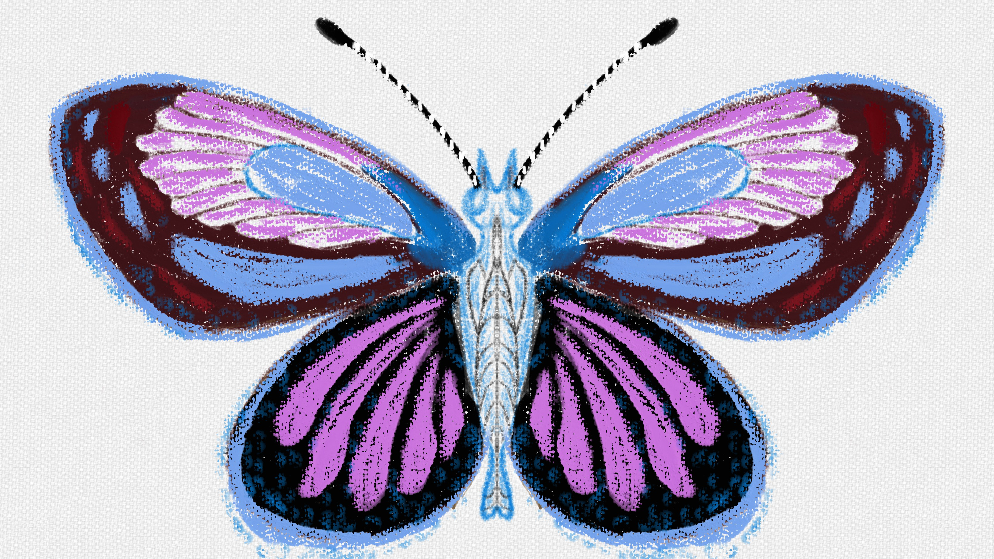 冬去春来周而复始,画一只蝴蝶欢迎北方的春天,高鳍红剑作品