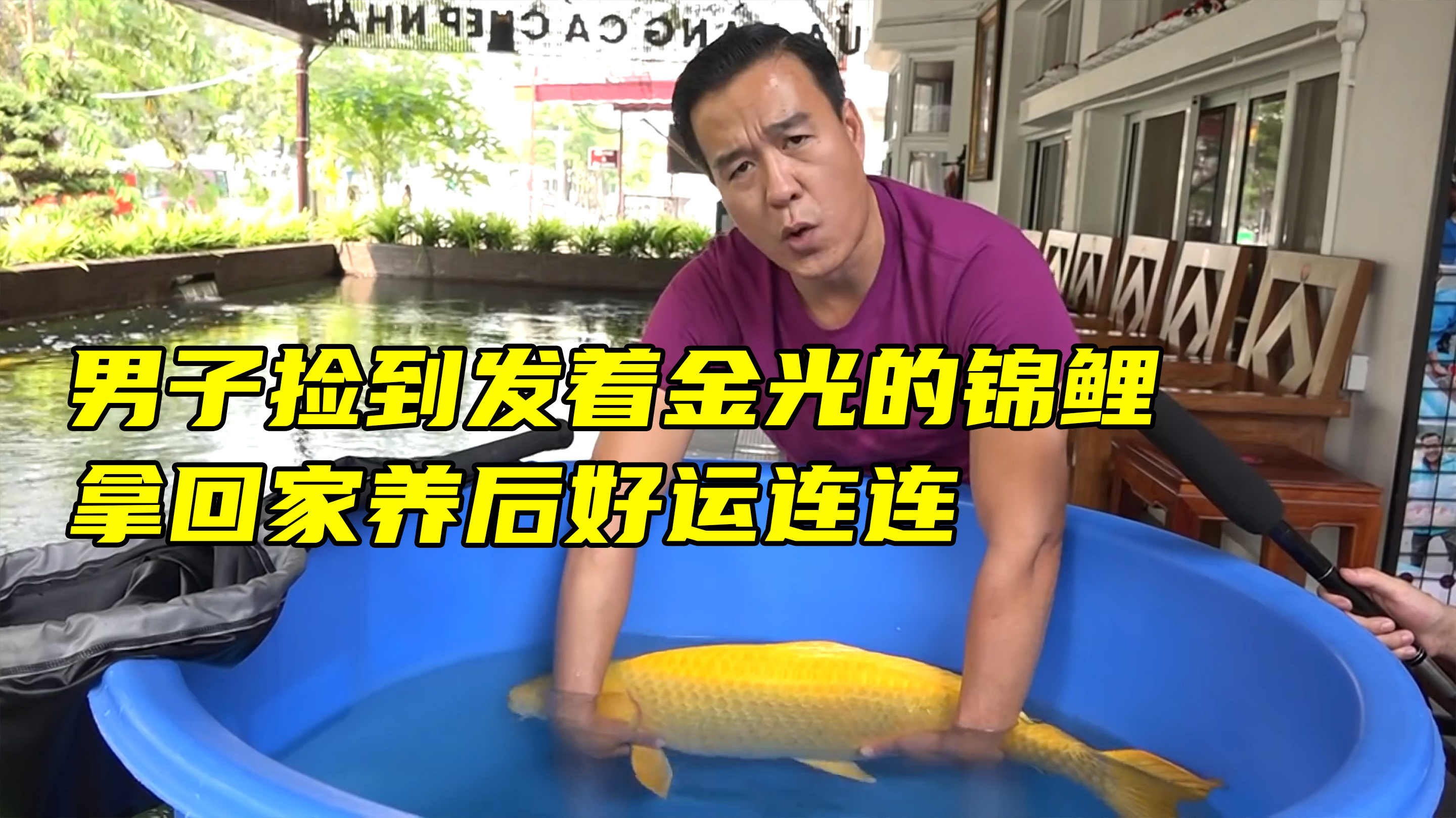 小伙钓鱼无意中发现黄金锦鲤,全身发着金光,拿回家养后好运连连