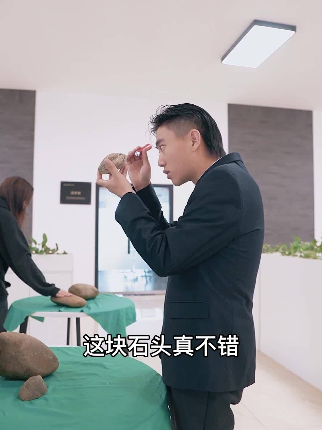 短剧赘婿绝境重生全集
