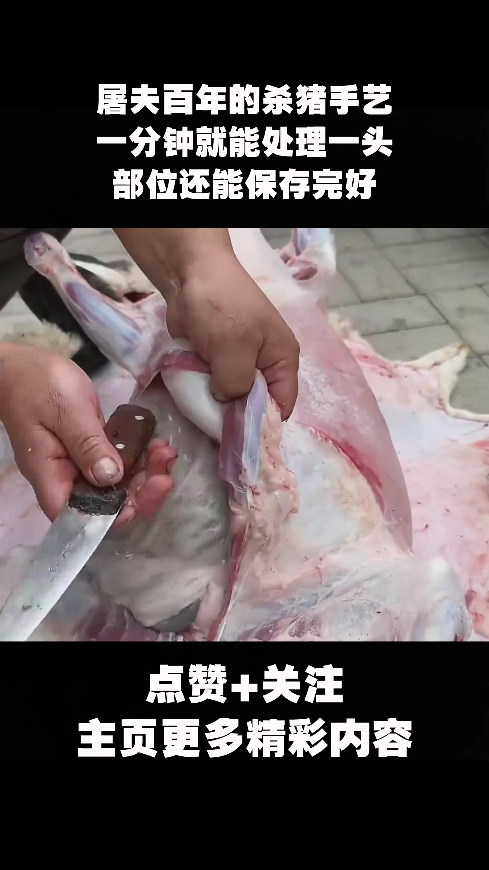 屠夫百年的杀猪手艺,一分钟就能处理一头,部位还能保存完好-度小视