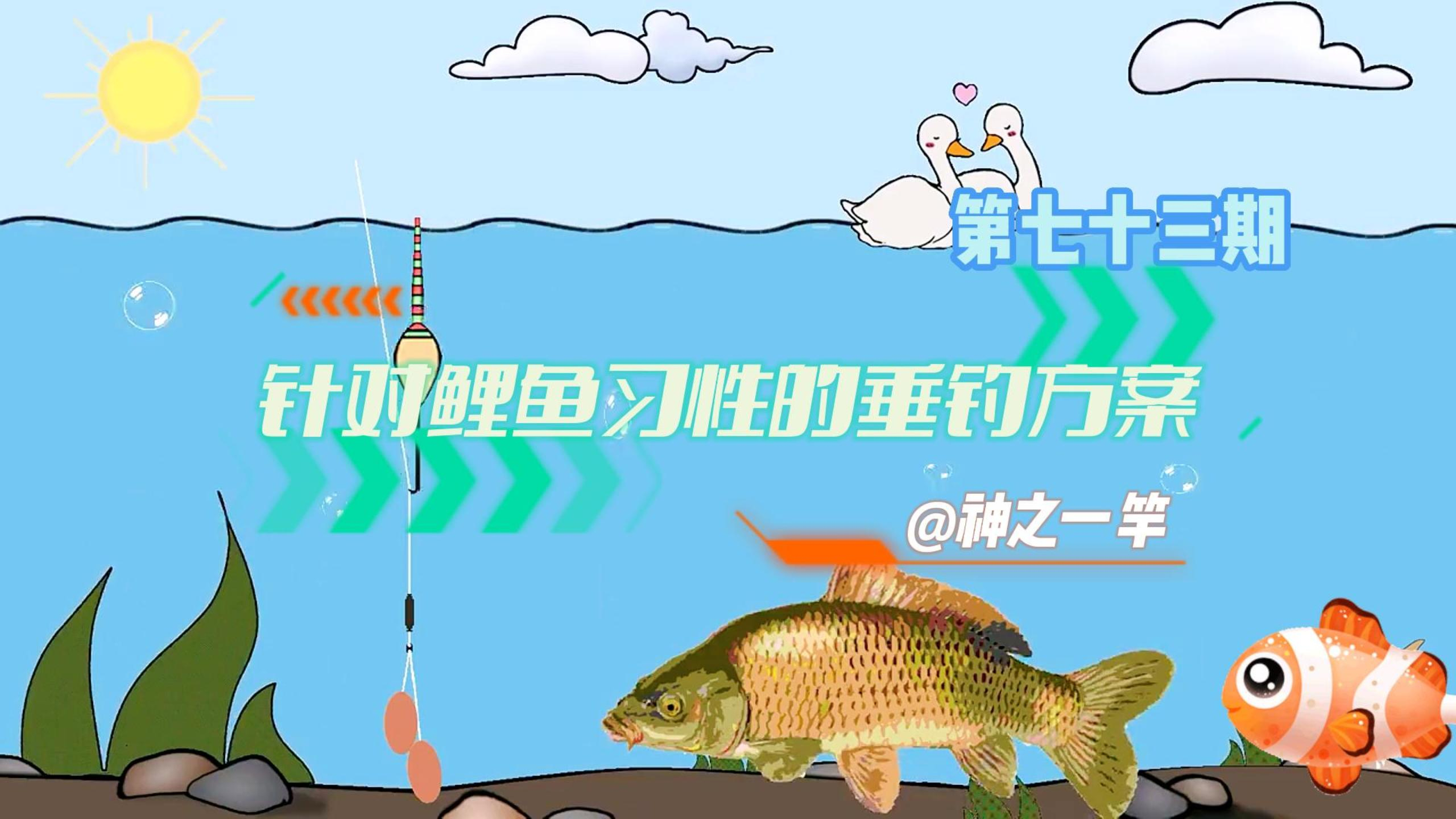 鲤鱼难钓?先了解习性在下手,教你三个针对鲤鱼的垂钓方案