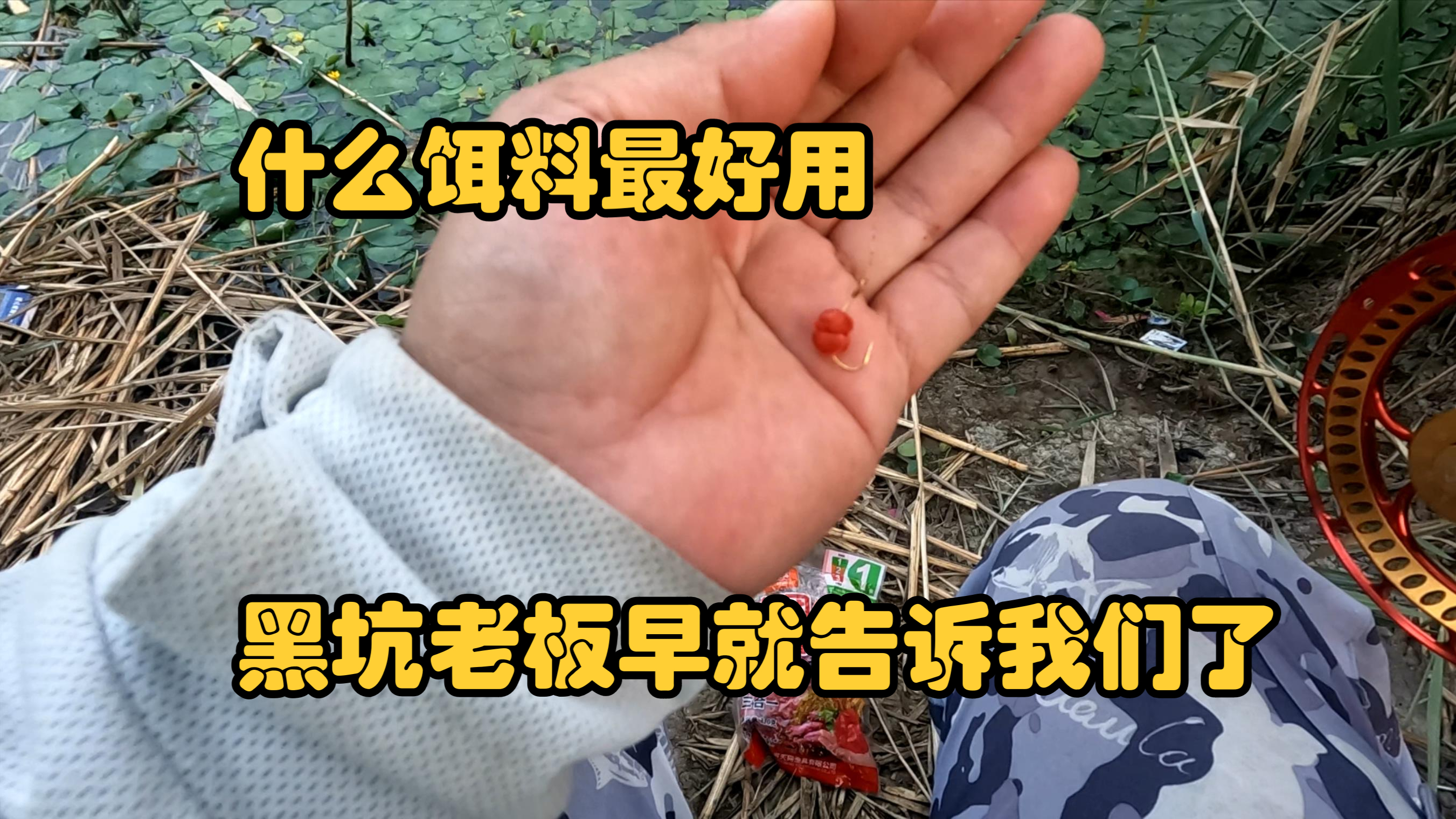 什么饵料最好用，黑坑老板最清楚，其他饵料在它面前都是弟弟