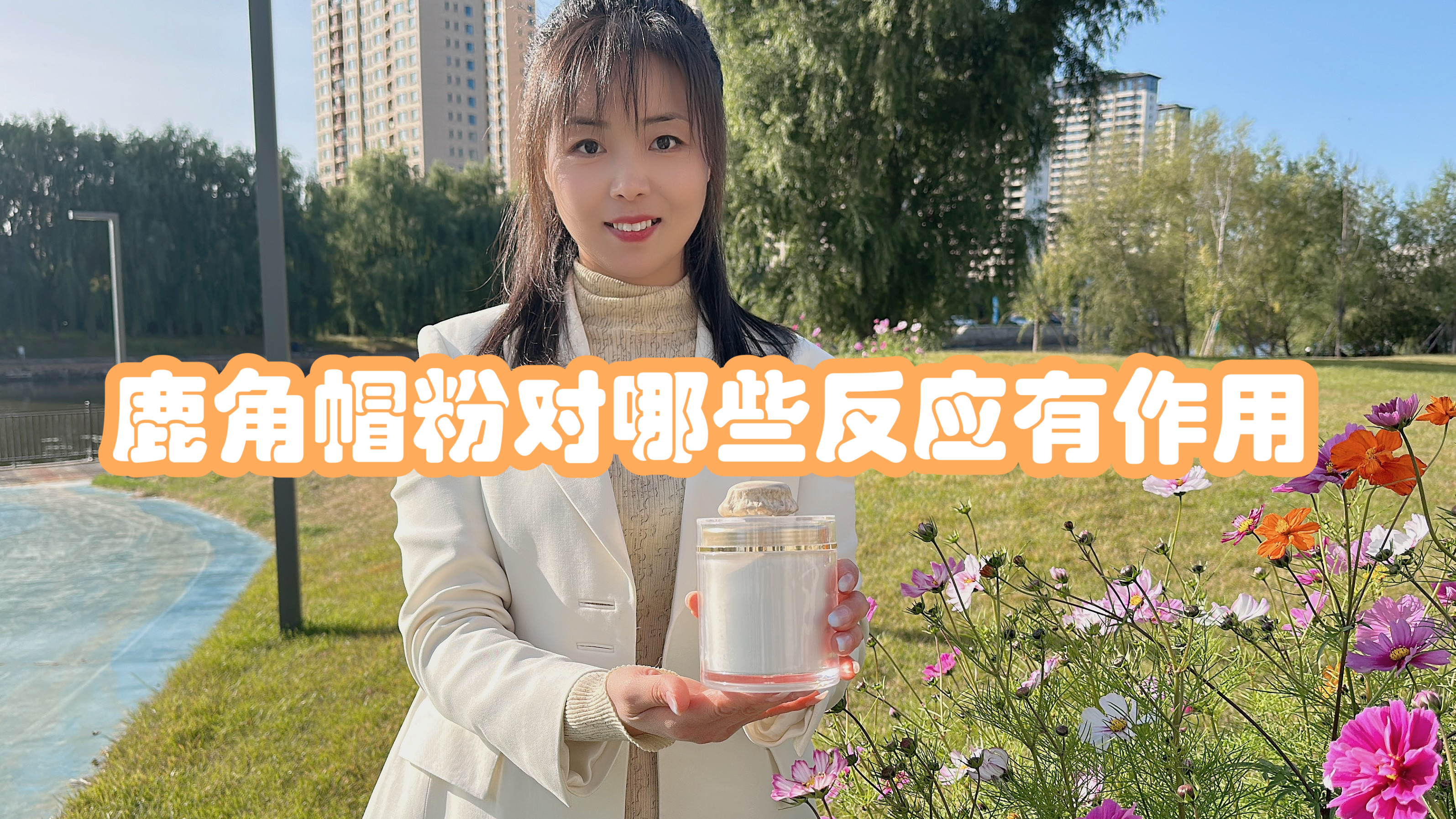 鹿角帽是什么?鹿角帽打粉怎么吃,对哪些反应有作用