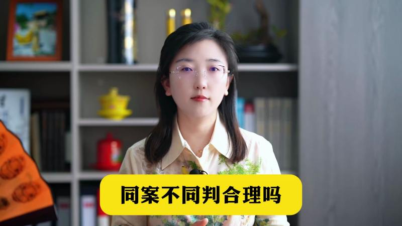 同案不同判合理吗？,法律,法律综合,好看视频