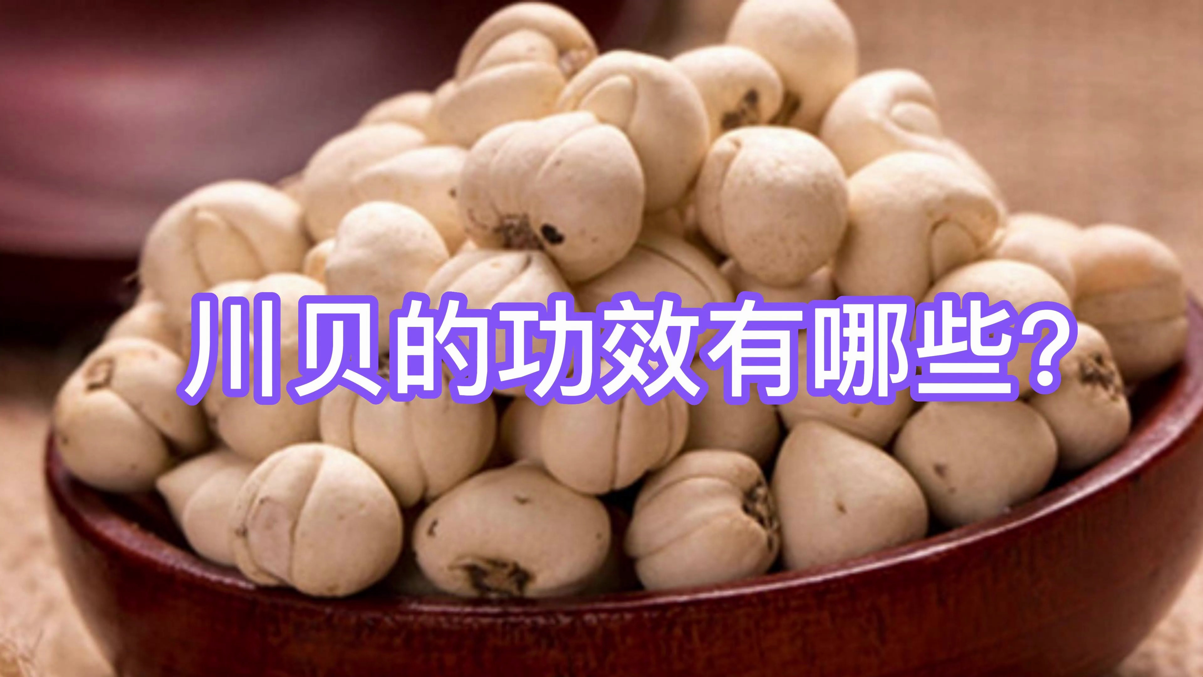 川贝的功效有哪些?