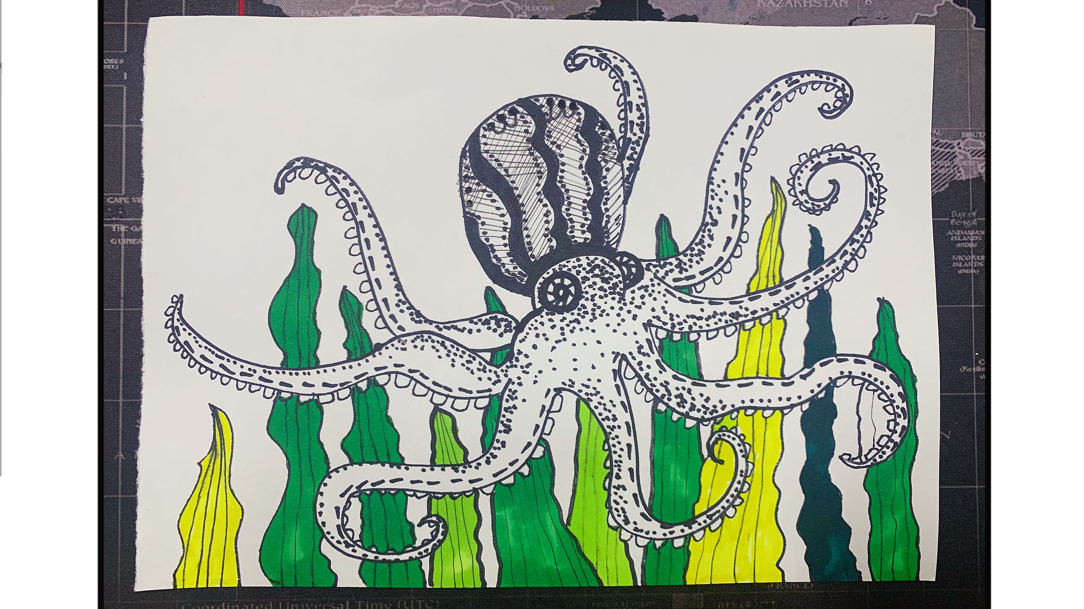 适合7岁左右小朋友画的线描八爪鱼