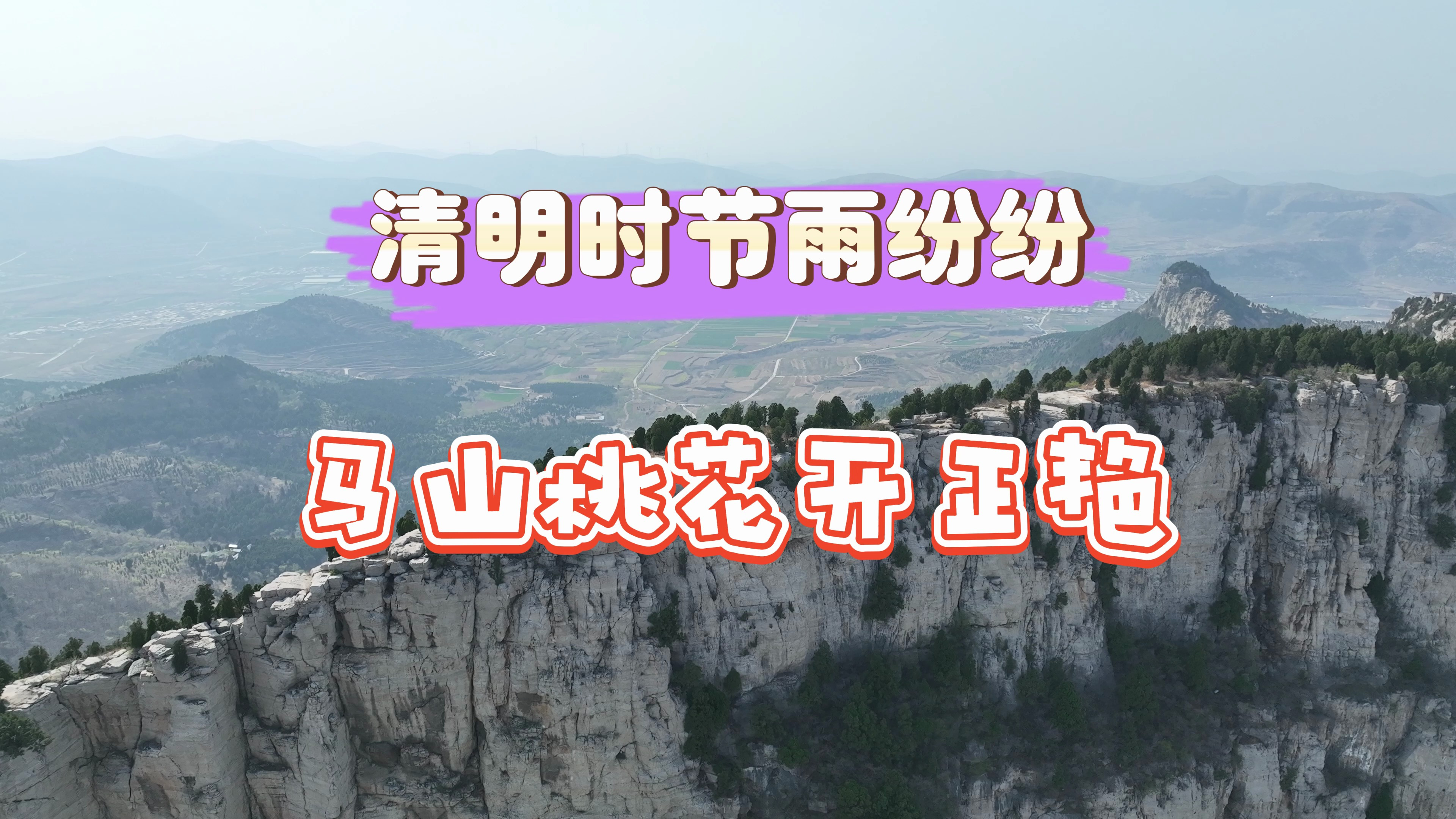 济南马山桃花开的争艳,清明赏花攻略来了
