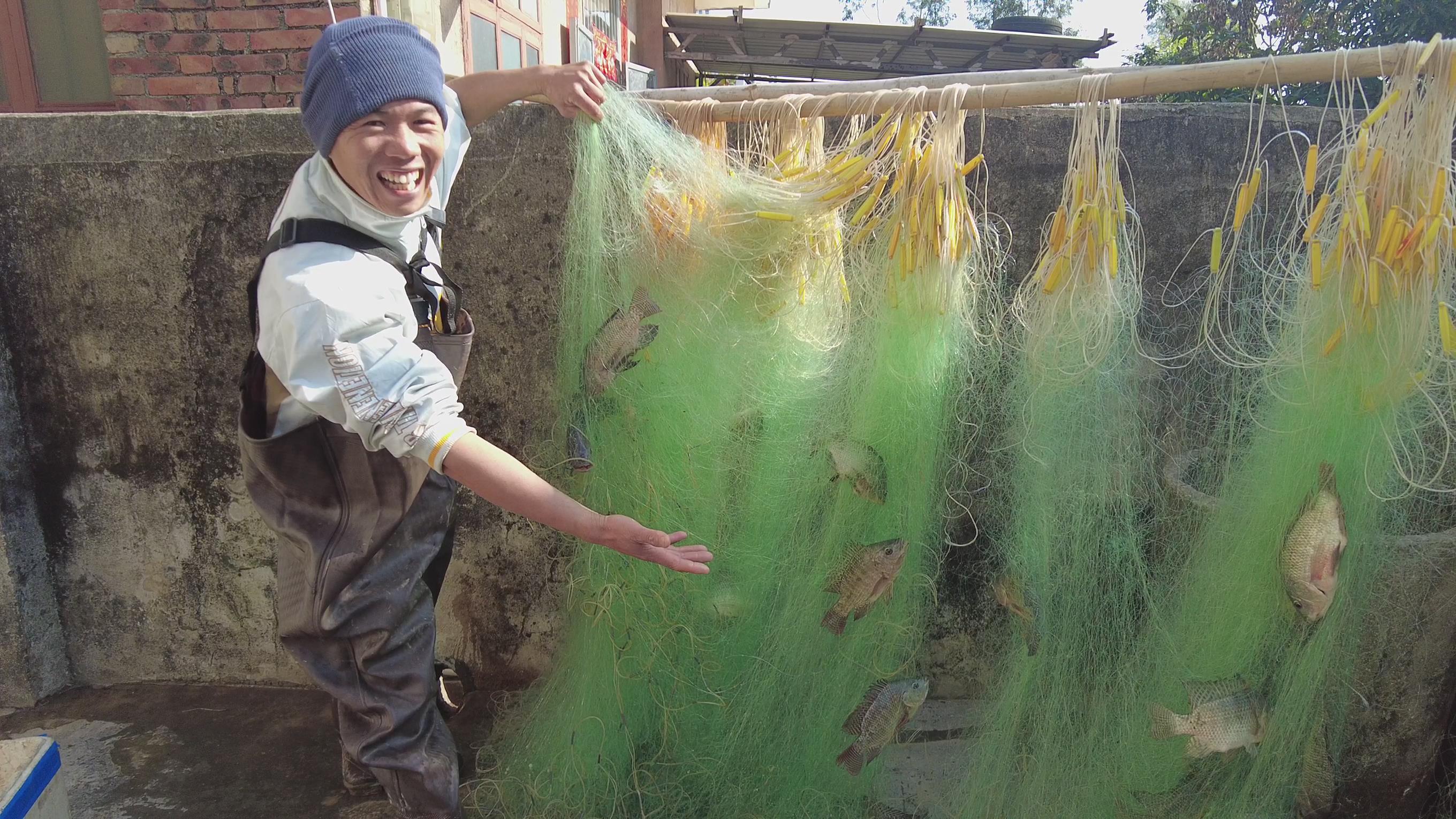 小池下网抓30多斤罗非鱼,客户预定第一时间送过去,这次收获不错