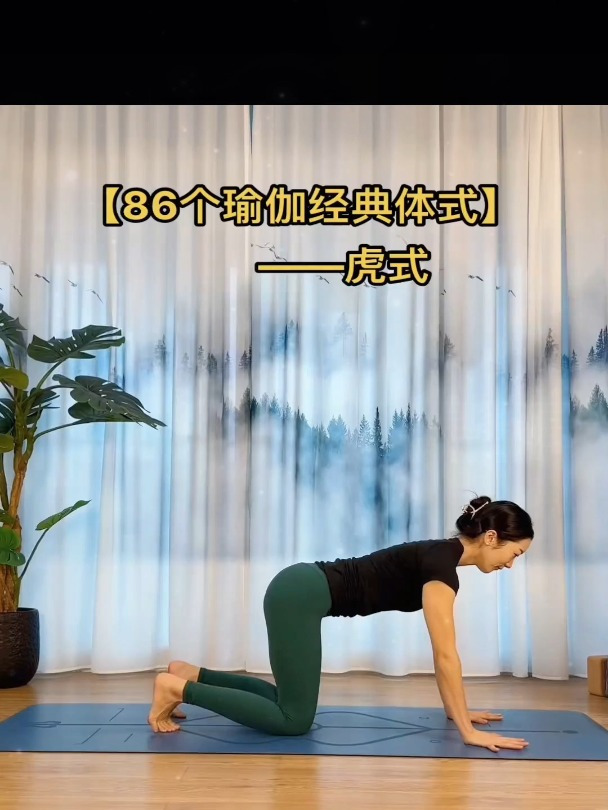 瑜伽经典体式,快来练习吧