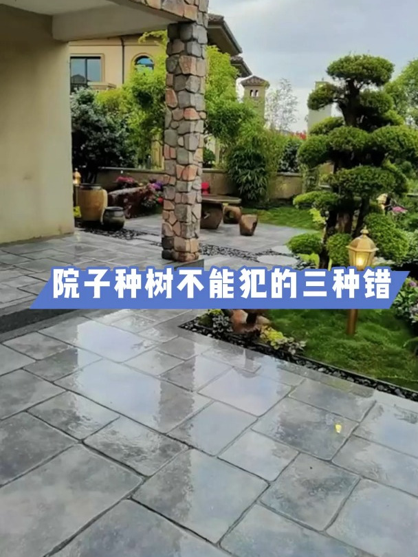 院子种树不能犯的三种错 庭院设计 花园设计 小院改造
