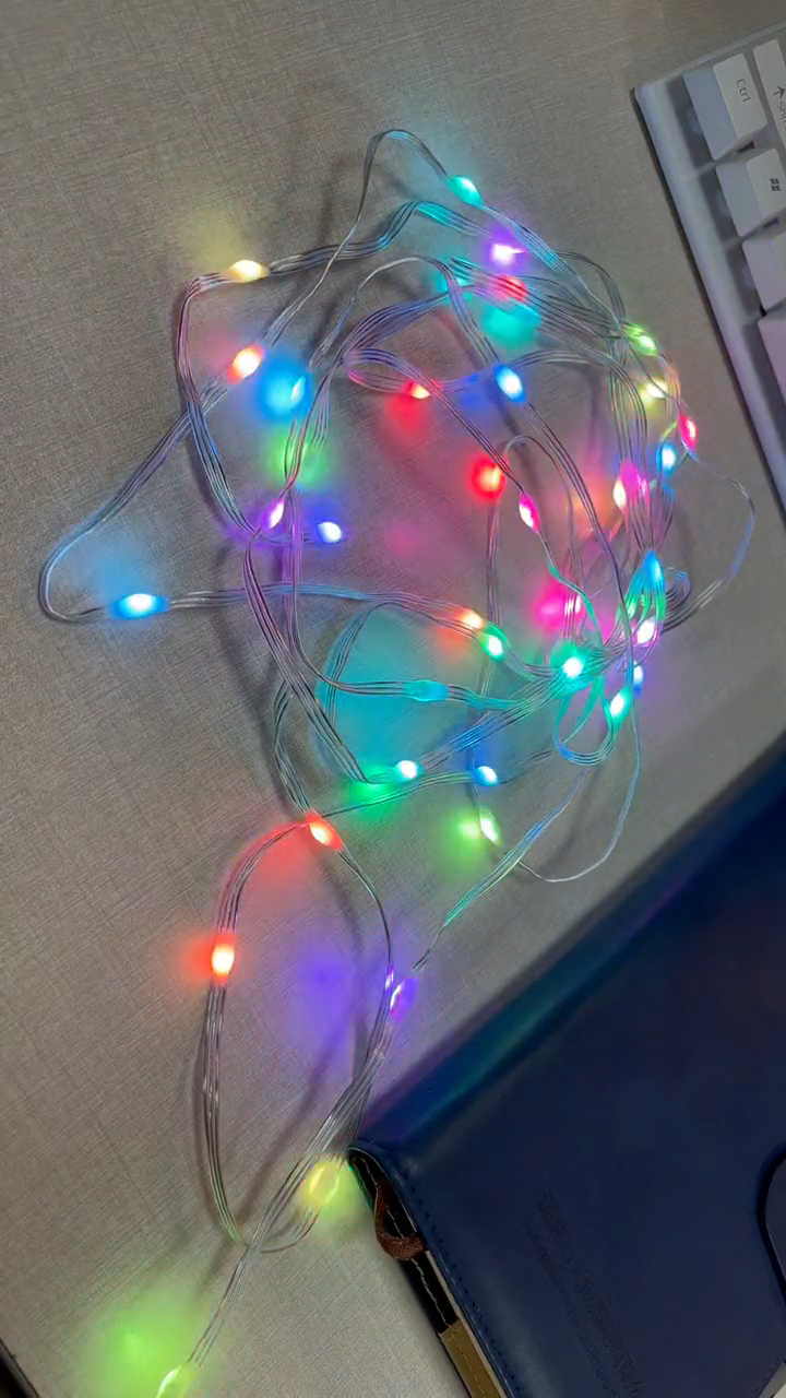 led点控幻彩皮线灯带皮线灯串佰斯特灯饰