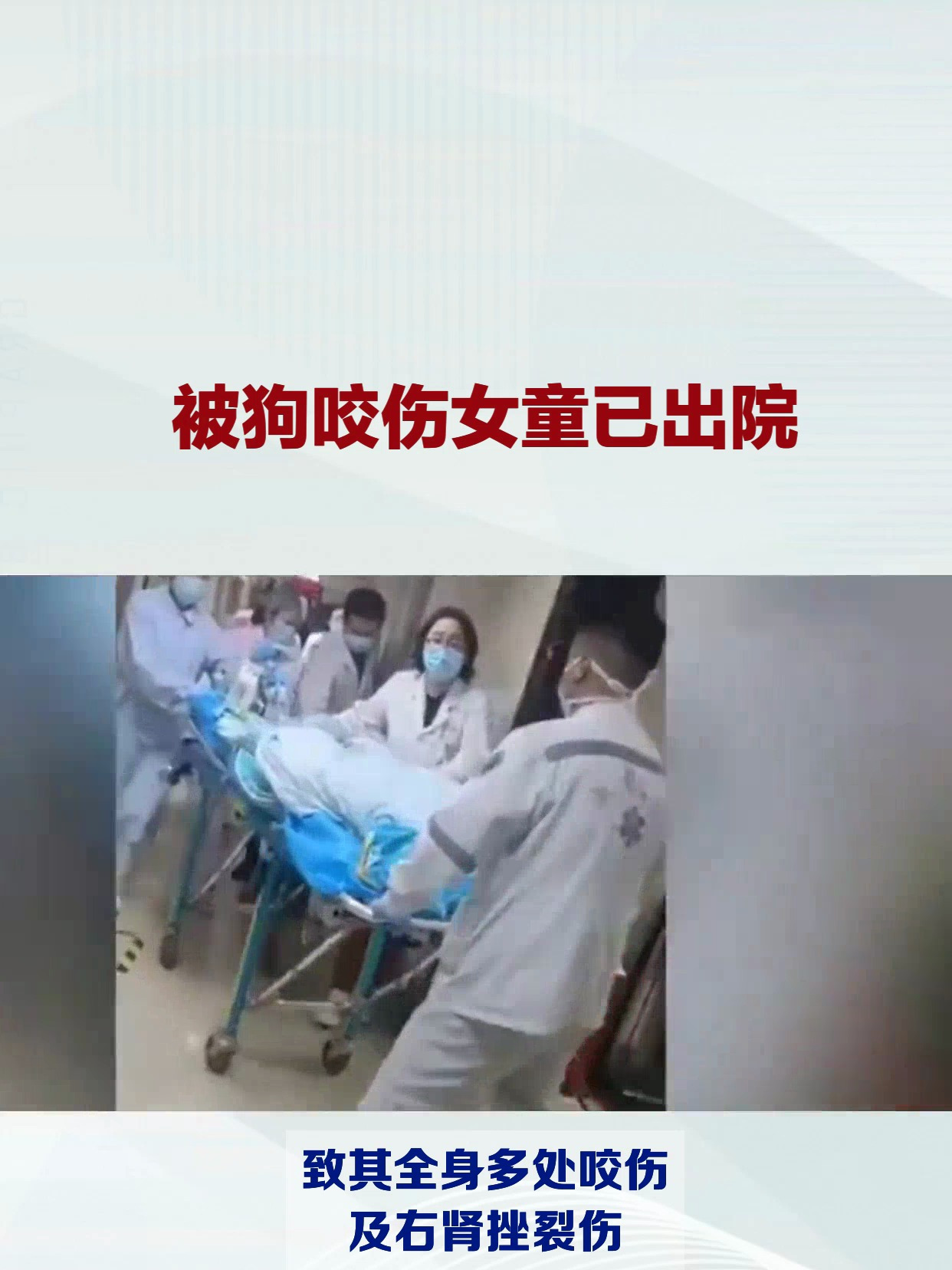 四川成都被狗咬伤女童已出院