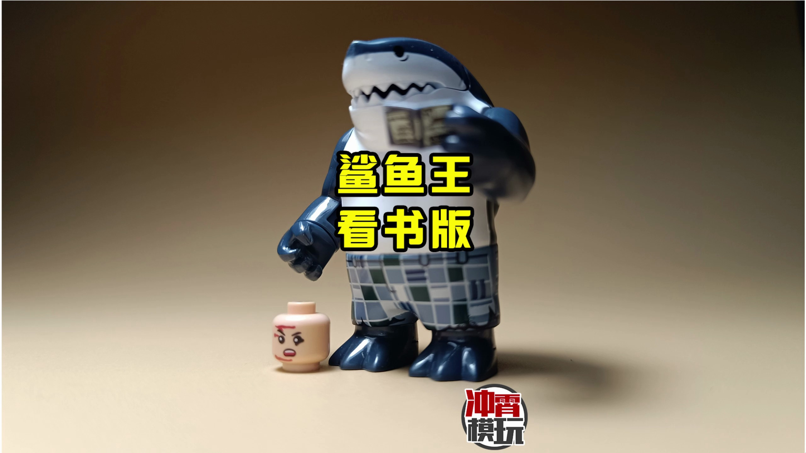 「NO.480」DC超级英雄鲨鱼王看书版拼装积木人仔非乐高