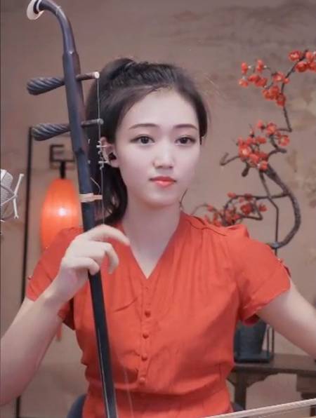 二胡独奏《挡不住的思念》太好听了,好听有韵味,听醉了-度小视